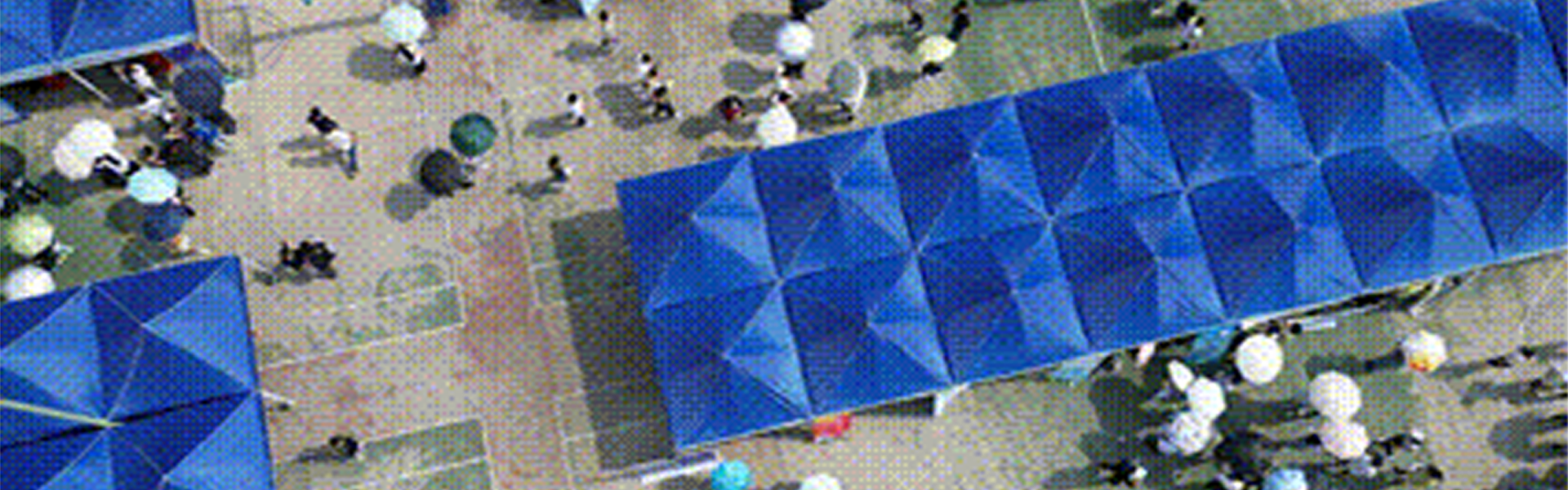 威廉希尔williamhill中文