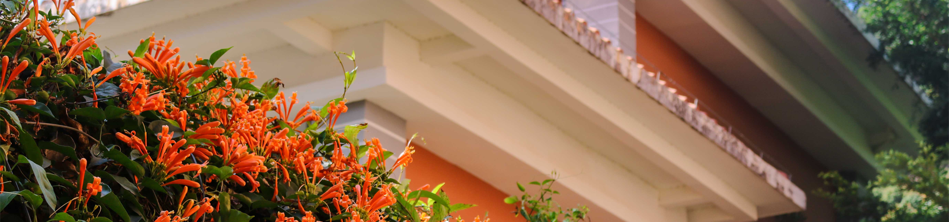 威廉希尔williamhill中文